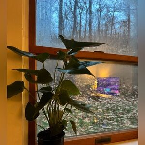 Meet your Posher, Joubliete!